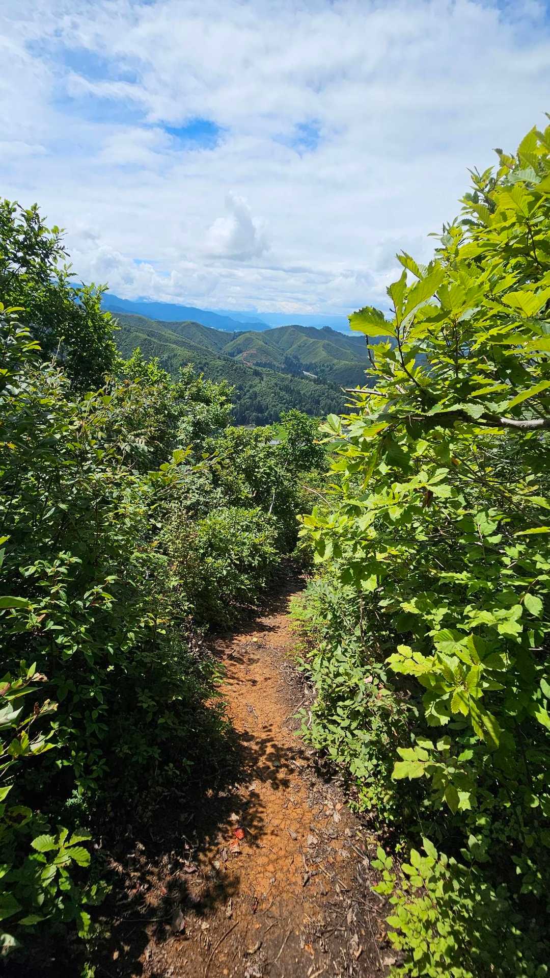 湿った赤土のヌメる登山道😅
気をつけて帰るべ🐸