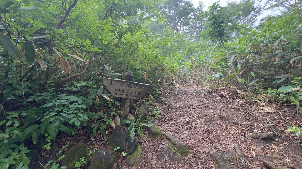 谷川岳（トマの耳・オキノ耳） via 西黒尾根 の写真 2