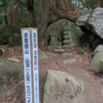 上宮横に求菩提山 山頂看板❗

アブ３匹がまとわりつく😱

眺望はありません💦