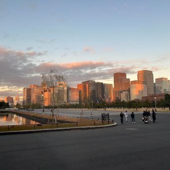 夕日に照らされるビル群がきれい。