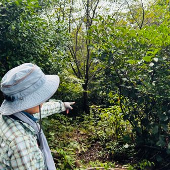 メリーとミーコさんが植栽された桜の木が、大きく育ってます♡