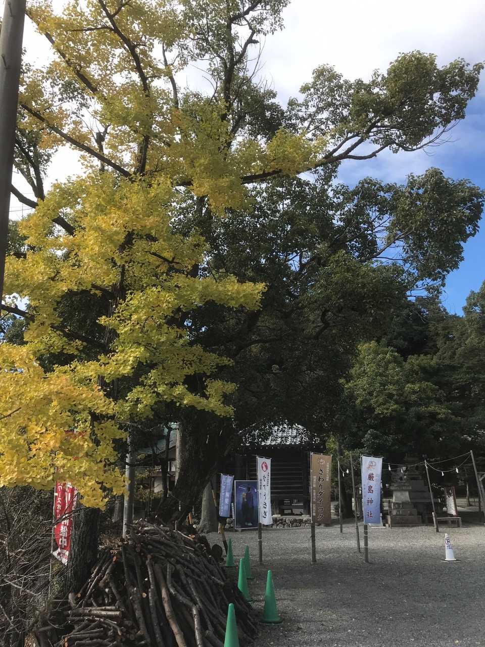 無事、下山。銀杏も綺麗です。