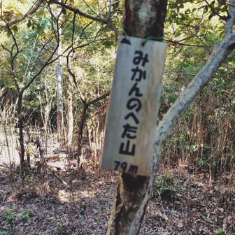 昔はみかんを上半分を切って置いたような形の山だったようだ