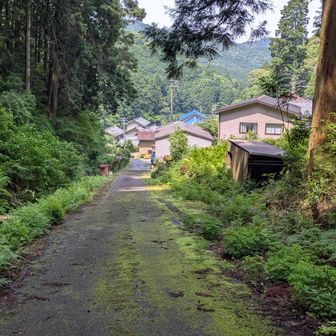 ここからロードで駐車場に向かう。
ここに仮設トイレありました。