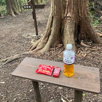 すてきなテーブルで休憩🍵