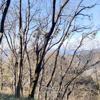 矢ノ音から見える山々