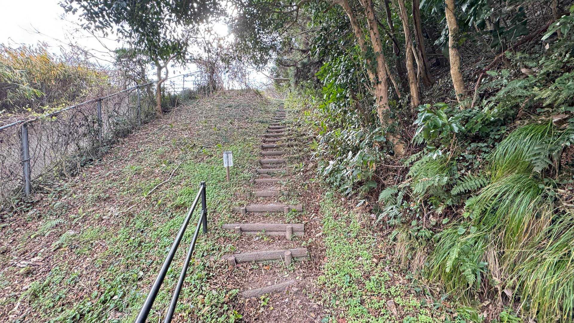 登り始めの急階段
