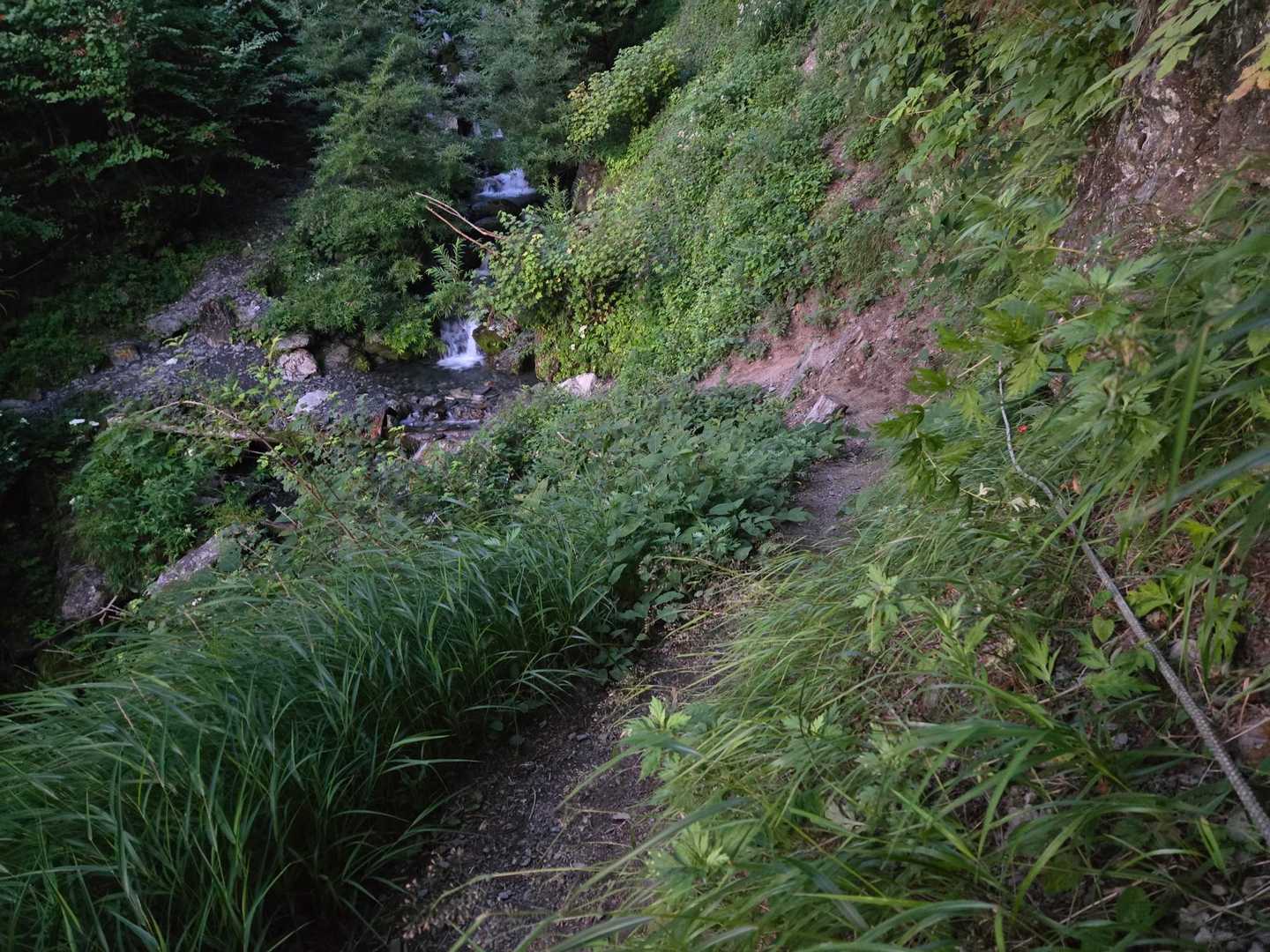 水場を渡って登って来ました。逆周りで大門沢下降点から下って来たら、間違い様の無い場所でした。