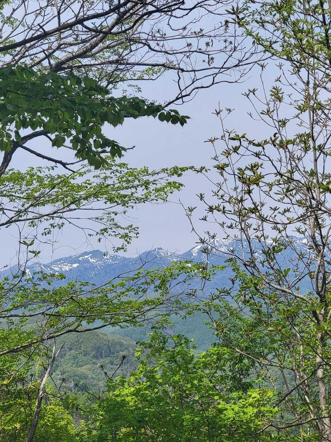景観も木陰からチラッ👀