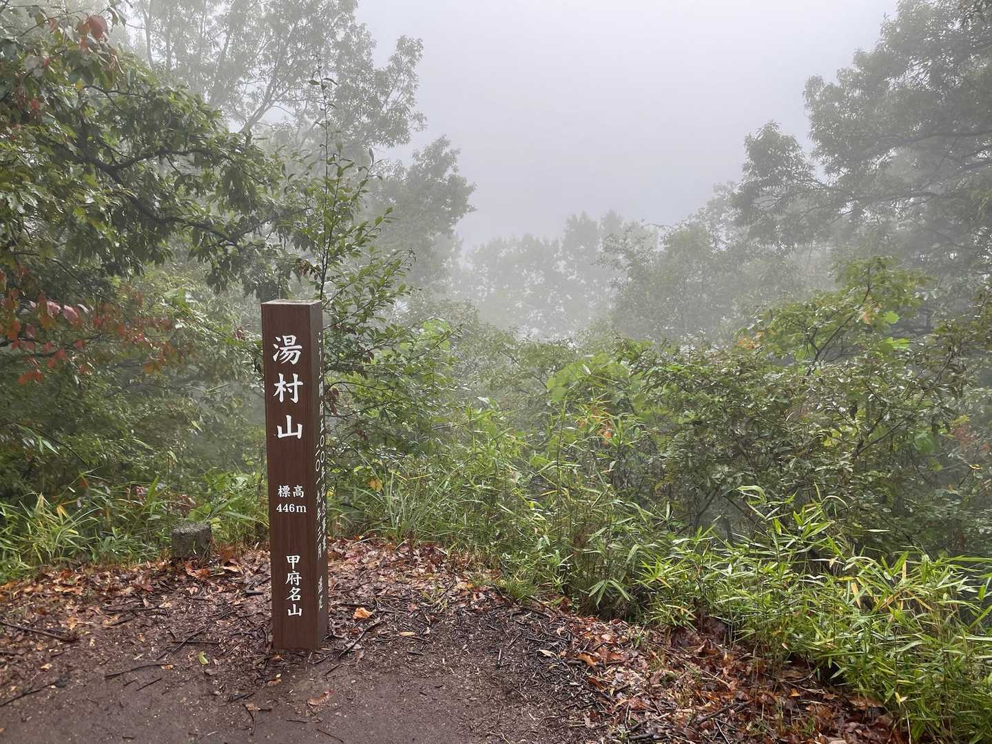 湯村山登山口-法泉寺山 往復コースの写真
