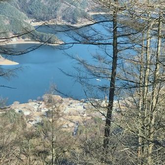 西湖だと思ってたけど河口湖かな？
西湖は水がめちゃくちゃ綺麗なんだよ🐟