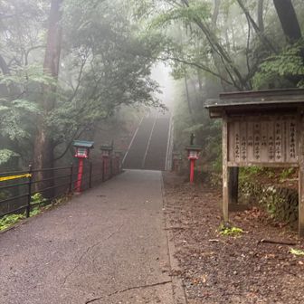 この光景も初w