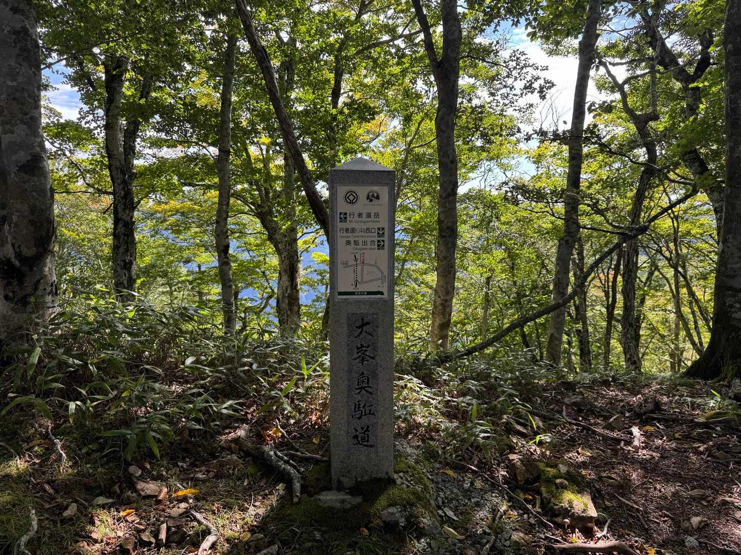 稜線に出ました。風が気持ち良い😊