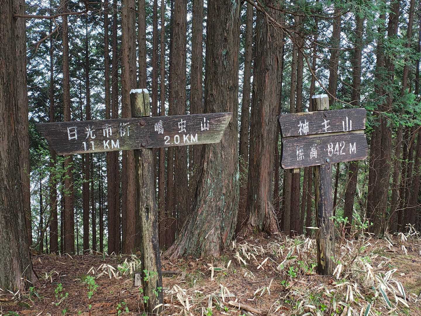 まだ、雲に覆われた神主山