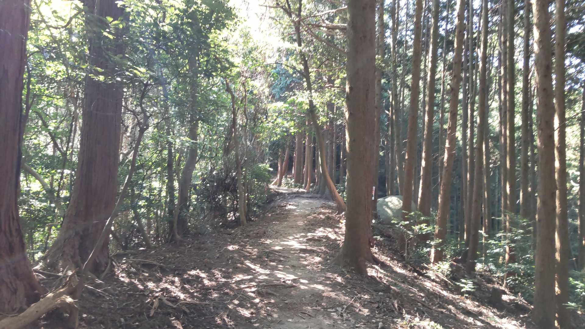 進みます🚶