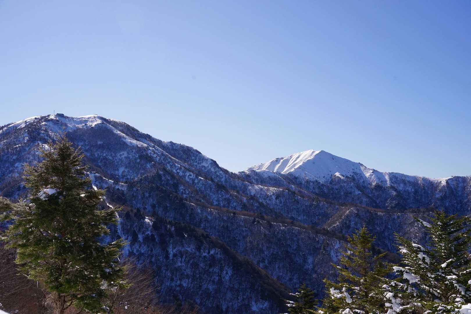 丸笹山 往復コースの写真