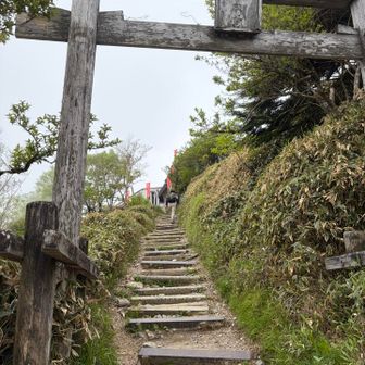 お邪魔します🏔️