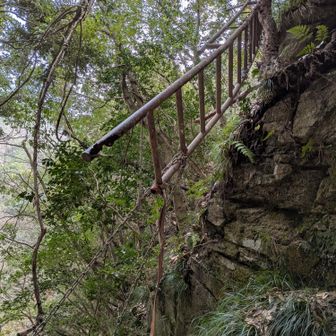 滝の奥にある梯子が宙に浮いてる？！
引っ張っても戻りそうにはないのであきらめて、砂地の崩れやすい急斜面を奥に向けて登るしかありません