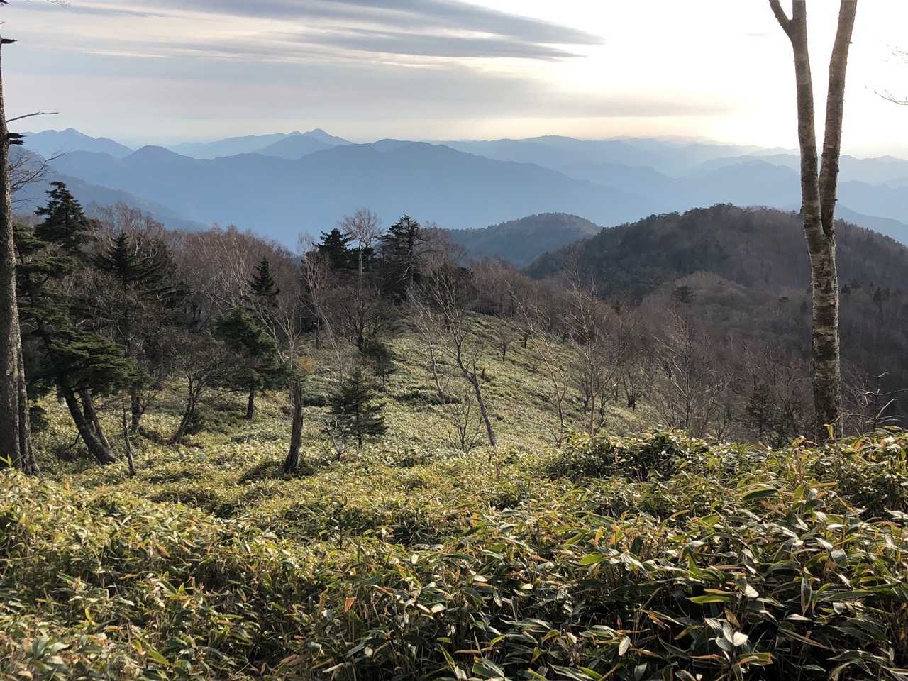 ココからの景色も絶景です😆中央左に常光寺山✨ その左奥に竜頭山も見えます👀
