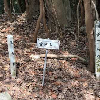 ここは完全にコース外。
計画的ロストして
ピーク見に行きました🙄

戻ってみたら
歩きの部の集団いて変な目で見られた🫩