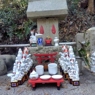 伝説の尾白狐が祀られている🦊