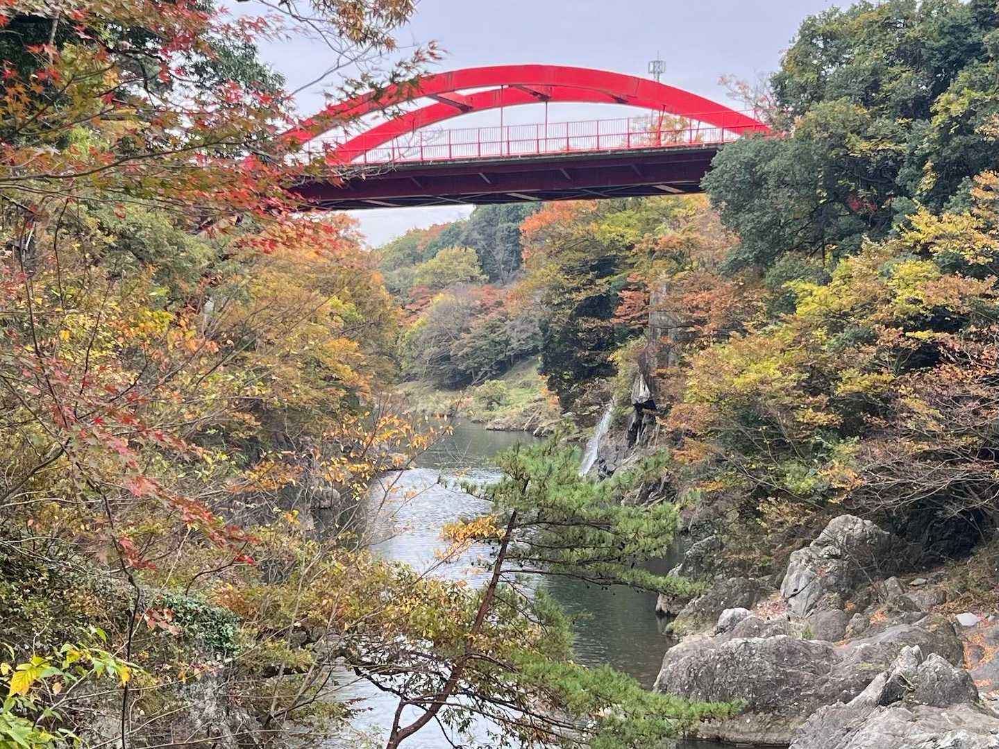 キレイ🍁♪

あっ！ゴリラ岩だっ！