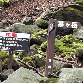 分岐