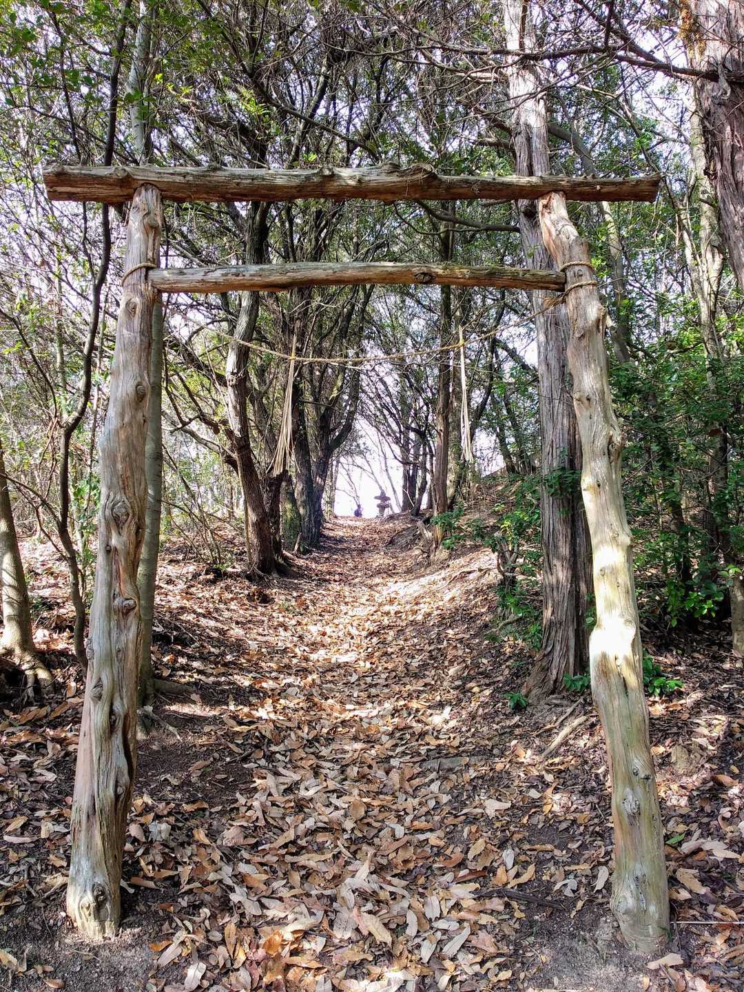 次の⛩を潜ると