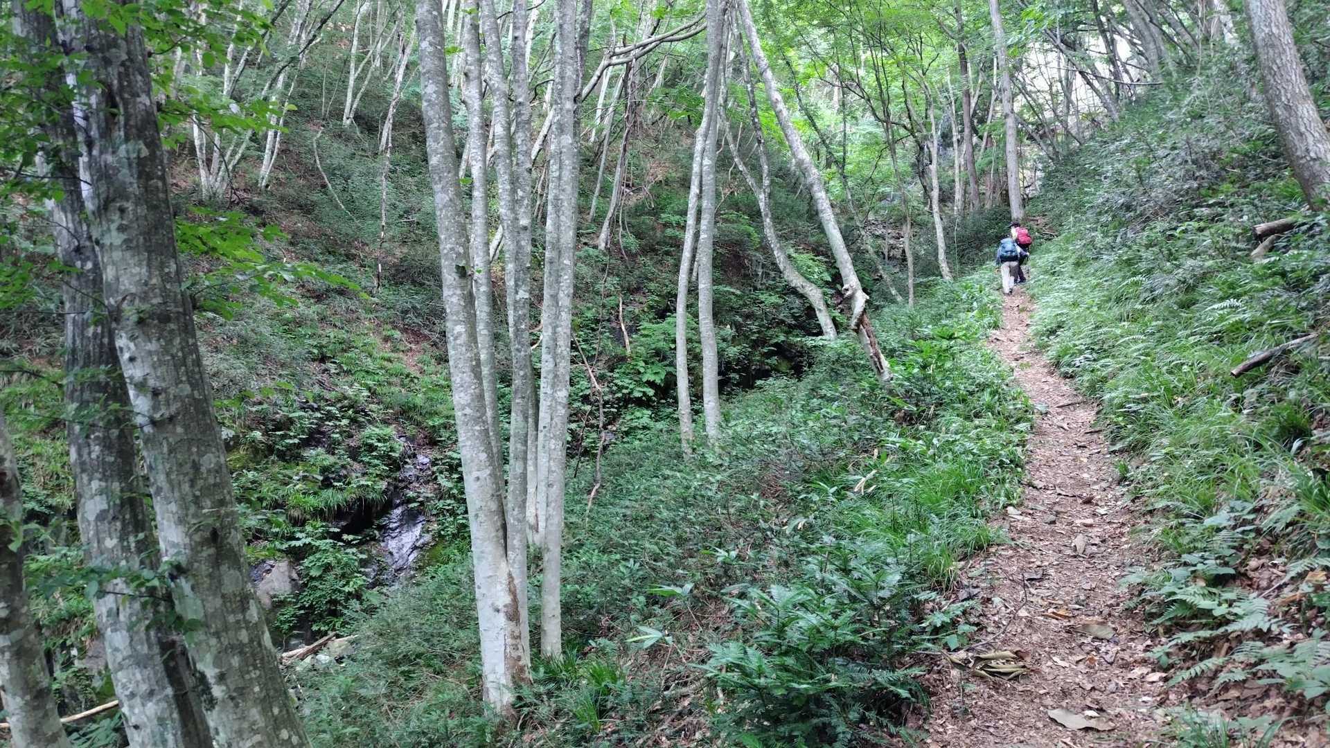 竜王山 往復コースの写真