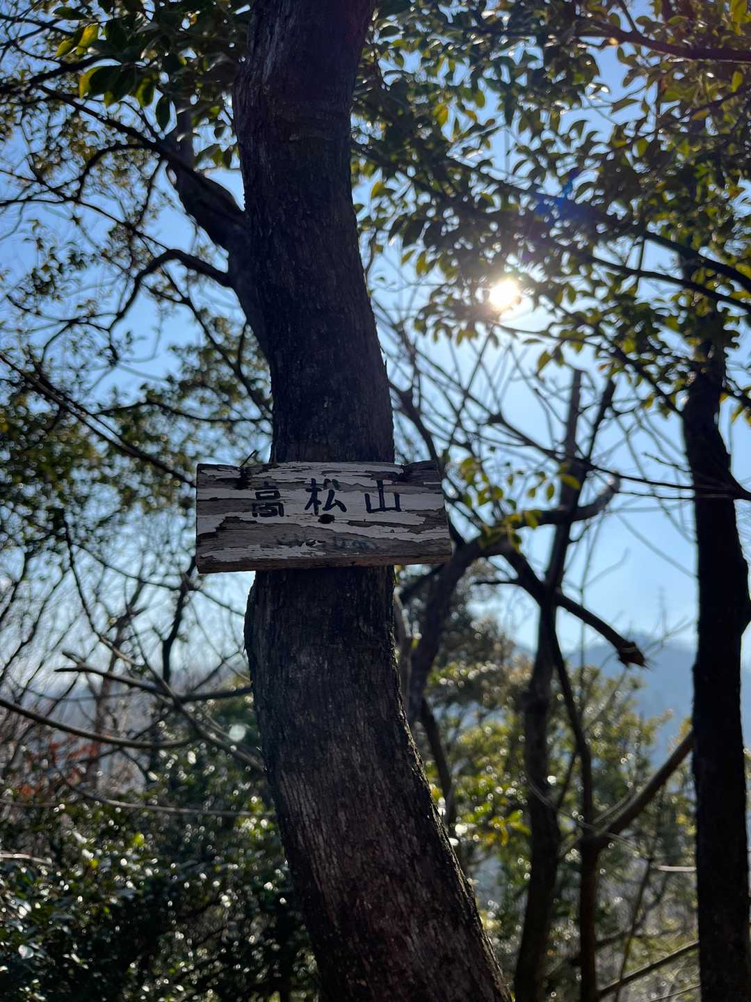 1ピーク🚩高松山。ここで整備をして下さってる方にお会いしました。さあ、今から始めるぞ💪という感じで、草刈機をセットされてる最中でした。スタート地点でお会いできたのも、なんて幸運✨しばらくお話させて頂き、安心をいっぱいもらって次のピークに向かいます。