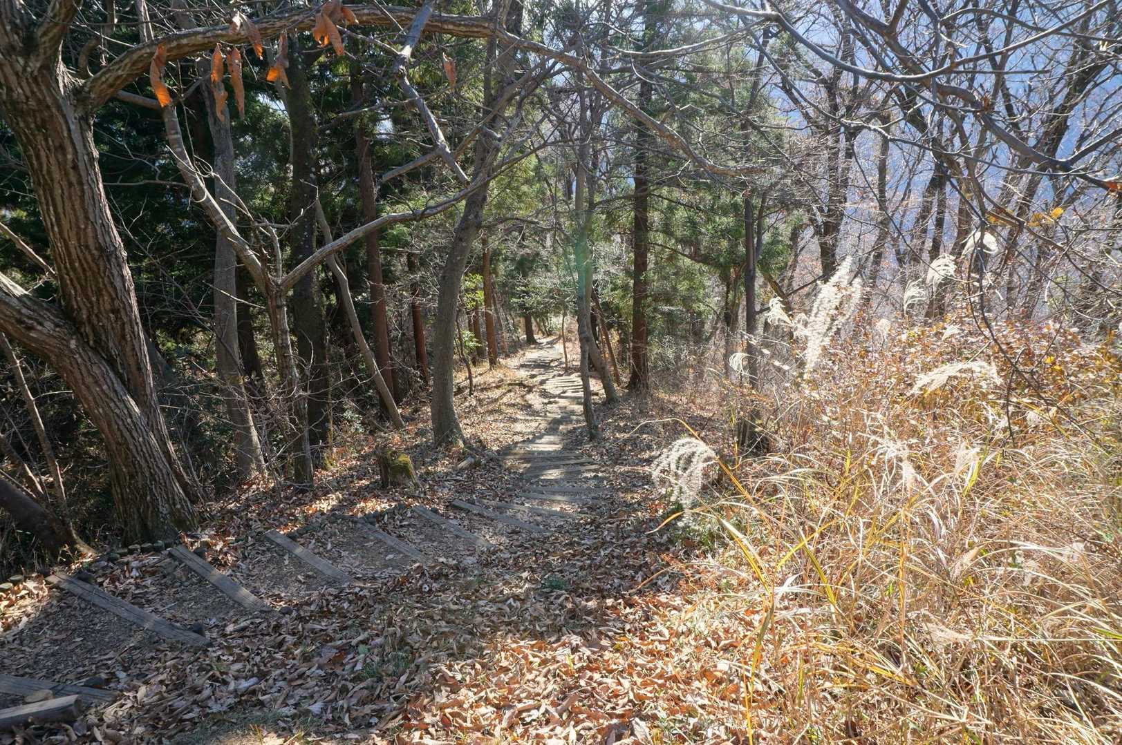 振り返って見ても急には見えないが、結構急な階段