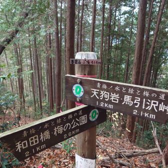 正規ルートへ復帰