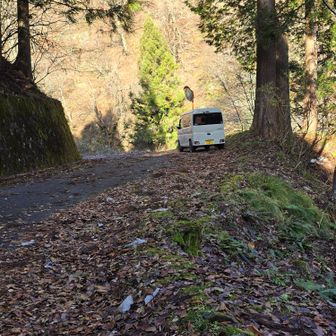 やっと車まで来ました