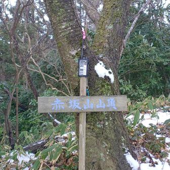 赤坂山山頂看板と
アマチュア無線機
(冷たい霙に負けて無線運用は、出来ませんでした。)