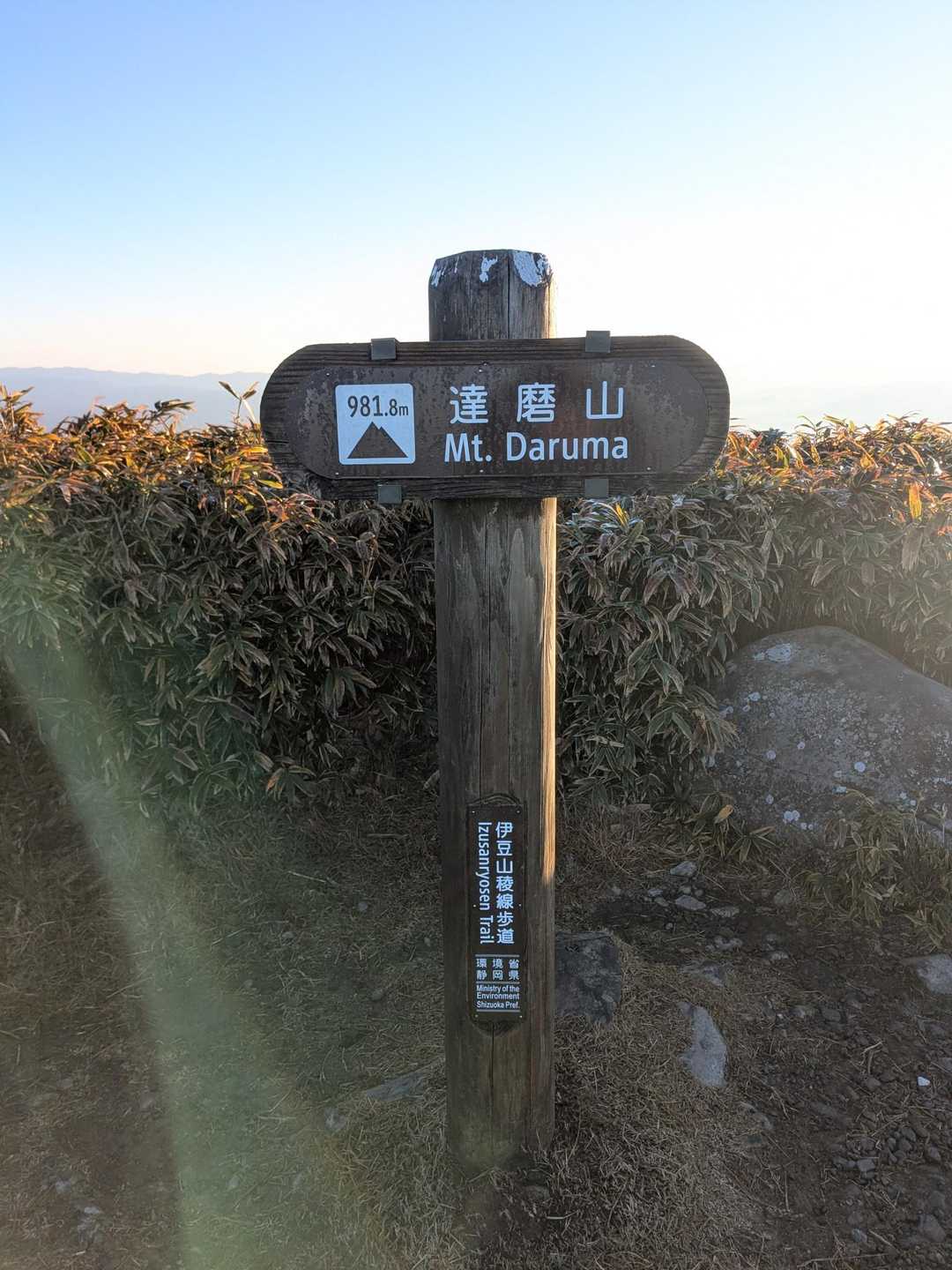 達磨山