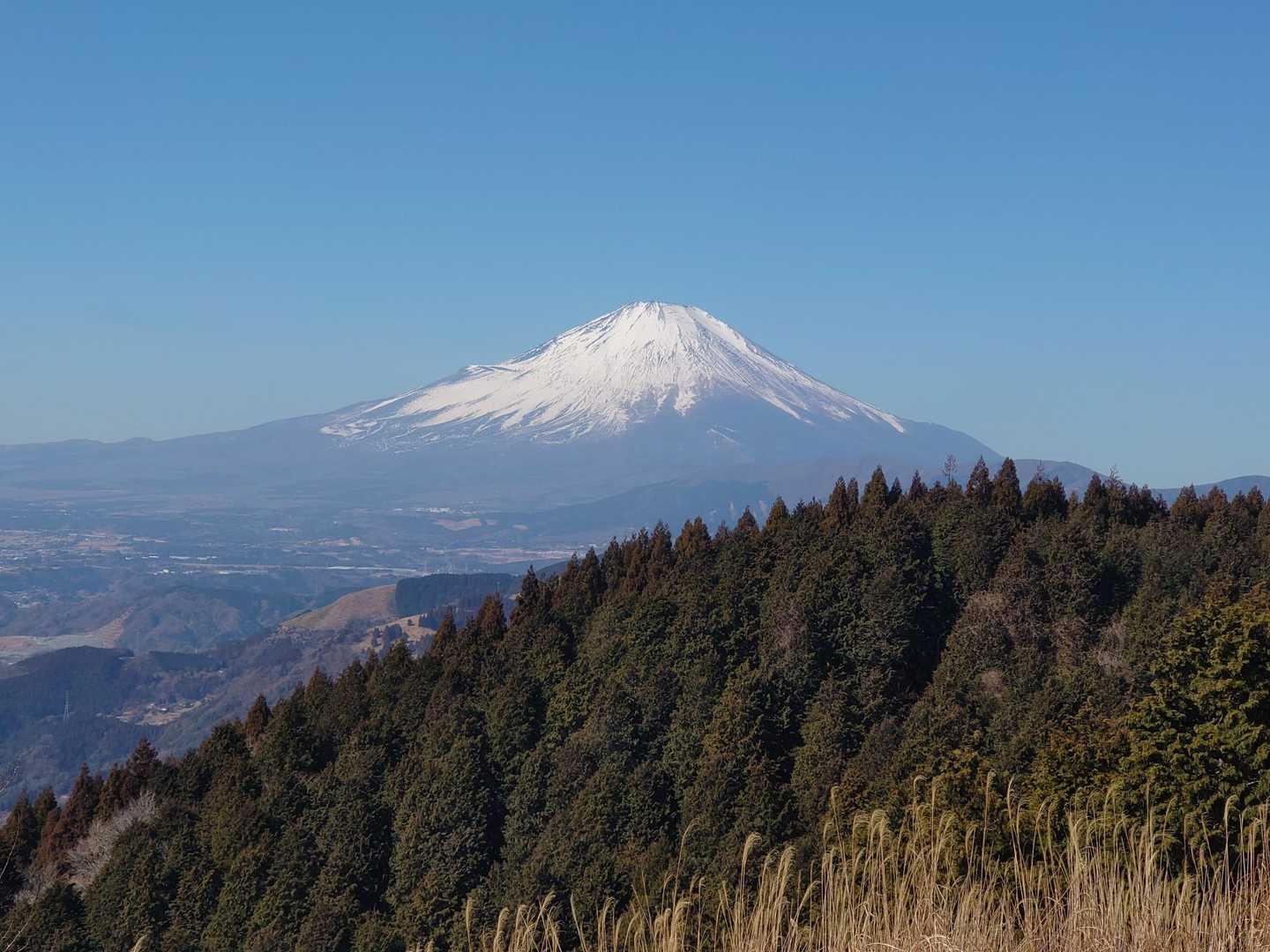 高松山から見える富士山はこんな感じなのね