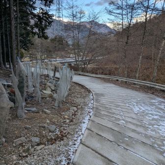 登山口。本当に寒くて0度なし😱