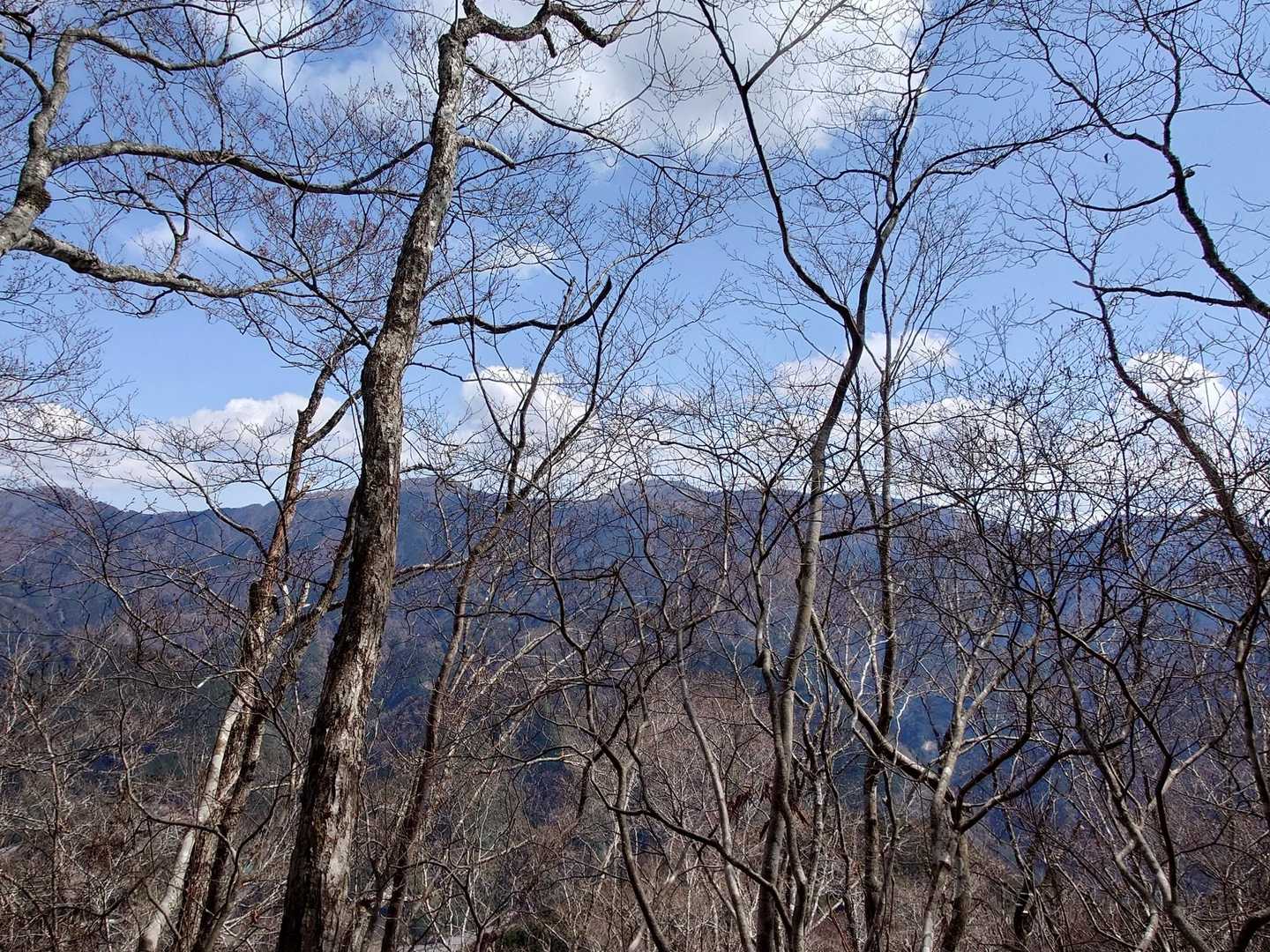 安倍東稜青笹山辺りかな？