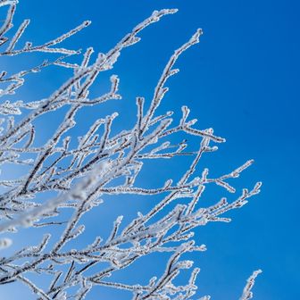 THE　ＭＵＨＹＯＵ