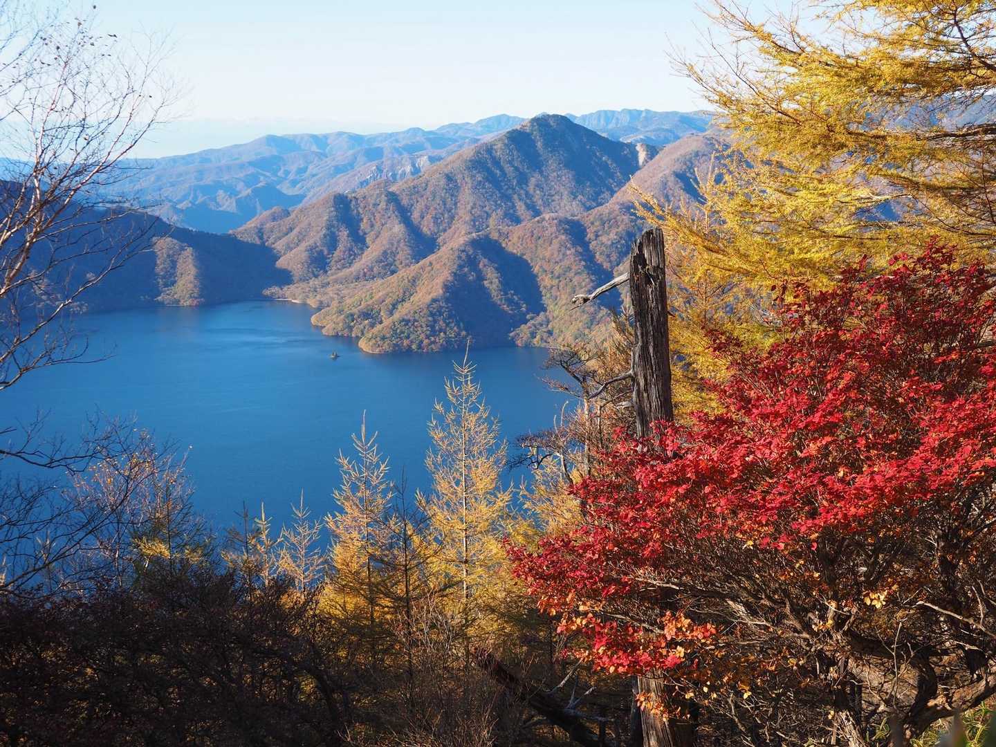 はーー♡景色が見えた！
いつもと反対の景色だ。
