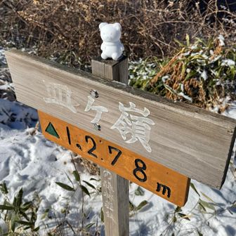 今年の漢字『熊』