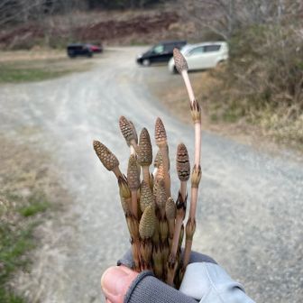 帰りも収穫祭🤭で無事下山