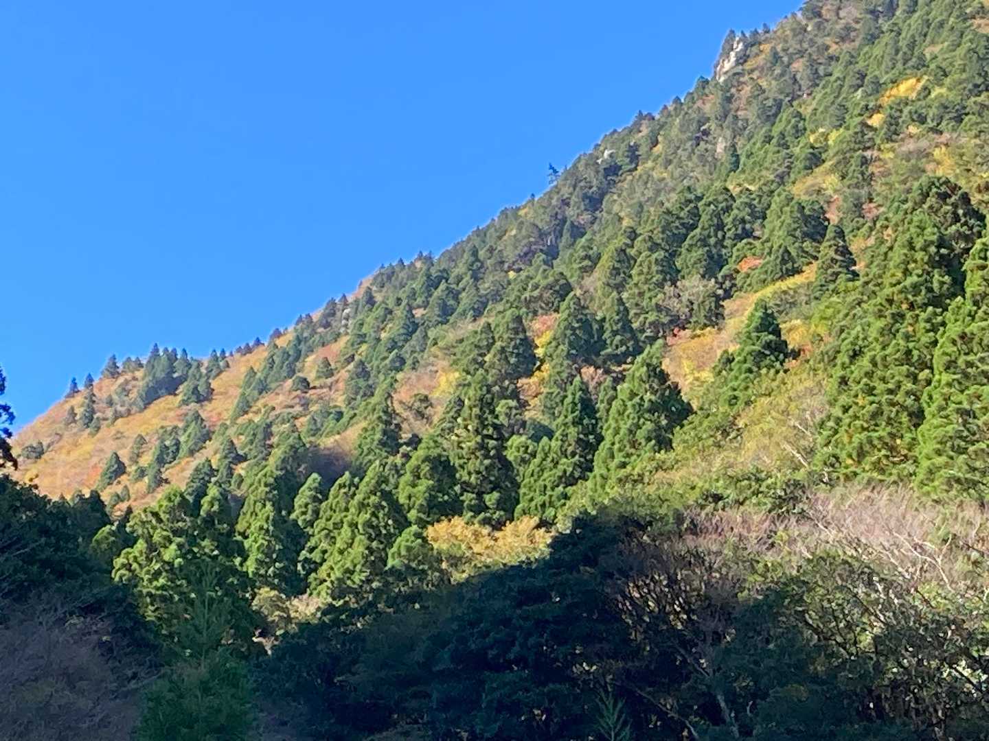 ずっと青空が
素晴らしい日でした