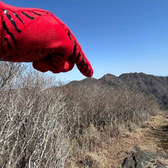 次回は何処にしようかな❓👇物住頭山🏔️