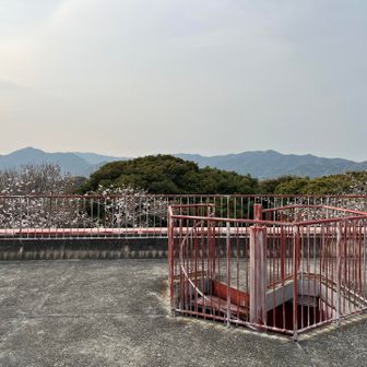 展望台上に出る螺旋階段🌀
奥に宮路山⛰️御堂山⛰️かな