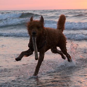 老化現象に抗いたい