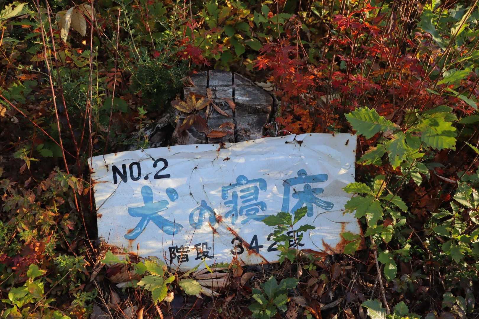 犬も平らなところで寝ると思うよ🐶
あと、No.1はどこ？