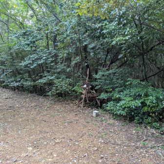愛知の130山の稲荷山。130山…、なぜここなのか😂