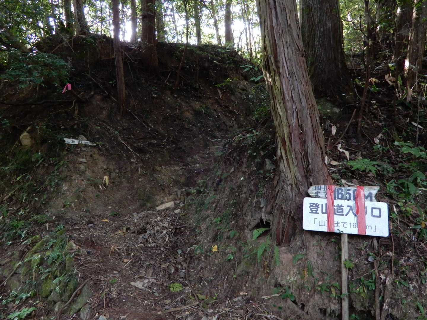 ここから山道に取り付く