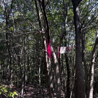 東山山頂到着